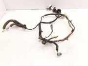 Kabel der vorderen linken Tür NISSAN MICRA II (K11) 1.4 i 16V 24125AX767