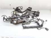 Motor Kabelbaum KIA CARENS III (UN) 2.0 CRDi 140 914201D090