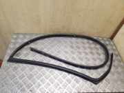 Türdichtung Audi Q5 (8R)