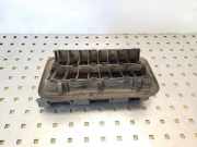 Karosserielüftungsgitter