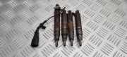 Einspritzventil Set SKODA OCTAVIA I Combi (1U5) 1.9 TDI 0432193696