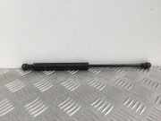 Heckklappe Gasdruckfeder links BMW 5 (E39) 530 d E39FK