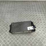 Ladeluftkühler CITROËN C4 III (BA_, BB_, BC_) 1.2 PureTech 131 9824742280