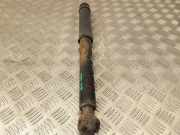 Stoßdämpfer hinten links