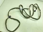 Kabelbaum Renault Scenic III (JZ) 2222858