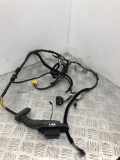Kabelbaum BMW 5 (E60) 530 d EEM18TE