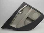 Türpolster hinten links VOLVO S80 II (AS) 2.4 D 39855778