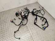 Motor Kabelbaum RENAULT LAGUNA Coupe (DT0/1) 1.5 dCi 001020