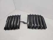 Kühlerluftumlenker BMW X5 (G05) xDrive 30 d S11674 S11691