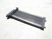 Elektrischer Schulterschulterkühler AUDI A4 (8EC, B7) 2.0 TDI 8E2819011