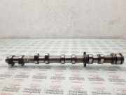 Nockenwelle AUDI Q7 (4L) 4.2 FSI quattro 020000684