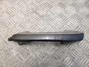 Türaußengriff hinten links