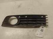 Gitter vorne unten AUDI A4 Cabrio (8H7, B6, 8HE, B7) 2.0 TDI 8E0807681A
