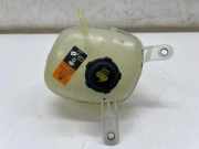 Ausgleichsbehälter NISSAN X-TRAIL IV (T33) 1.5 VC-T Mild Hybrid