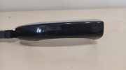 Türgriff links Audi A8 (4D, D2) 4H0837205B