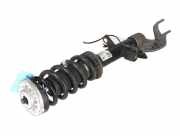 Stoßdämpfer vorne links