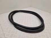 Heckklappengummi CITROËN DS5 2.0 BlueHDi 150