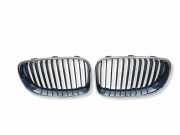 Vorderer oberer Gitter BMW 1 (E87) 116 i 7166440