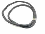 Türdichtung Land Rover Range Rover Evoque I (L538)