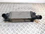 Ladeluftkühler Peugeot 407 Coupe () 9645682880