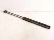 Heckklappendämpfer links Fiat Bravo II (198) 51812267