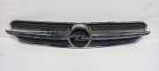 Ziergitter Opel Vectra C (Z02) 13139871