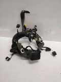 Kabel Tür vorne rechts RENAULT MEGANE III Hatchback (BZ0_) 1.6 dCi (BZ00, BZ12) 241242679R