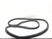 Dichtungsgummi der hinteren Tür (an der Karosserie) VW CADDY III Variant (2KB, 2KJ, 2CB, 2CJ) 1.6 TDI