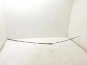 Rechte Dachleistenverkleidung RENAULT ESPACE V (JR_) 1.6 dCi 160 738538687R