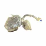 Fensterwaschtank FORD MONDEO IV Turnier (BA7) 2.0 TDCi 7S7117B613 6M2113K163