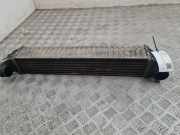 Ladeluftkühler Ford Galaxy (CK) 7M3145805