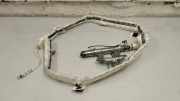 SRS Modul Dach links BMW 6 Coupe (F13) 640 i 298GDSD0903