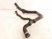 Schlauch Kühlung RENAULT LAGUNA Coupe (DT0/1) 2.0 dCi (DT01, DT09, DT12, DT1D) 924000057R