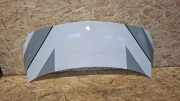 Motorhaube MERCEDES-BENZ CITAN Furgon (415) 109 CDI (415.601, 415.603, 415.605) 656294916R