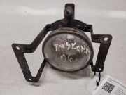 Nebelscheinwerfer links vorne Hyundai Tucson I (JM) 1011503