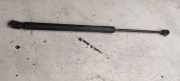 Gasfeder für Motorhaube VW Golf V Plus (5M, 521) 5M0827550A
