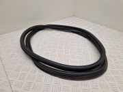 Dichtung für Koffer-/Laderaumklappe Citroen DS5 ()