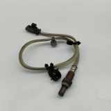 Sauerstoffsensor (Lambdasensor) VOLVO XC40 (536) B4 Mild-Hybrid 32253896