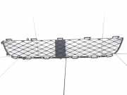 Gitter vorne unten TOYOTA YARIS (_P1_) 1.4 D-4D (NLP10_) 5311252060