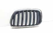 Vorderer oberer Gitter BMW X5 (E53) 3.0 d 7124815