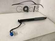 Heckklappe Gasdruckfeder rechts BMW 7 (G11, G12) 730 d, Ld xDrive 7357110