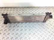 Ladeluftkühler RENAULT TRAFIC II Furgon (FL) 2.0 dCi 115 (FL01, FL0U)