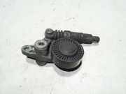 Riemenspanner AUDI A4 (8EC, B7) 3.0 TDI quattro 059146201F