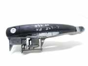 Türgriff links hinten Citroen C3 (FC) 1198G4