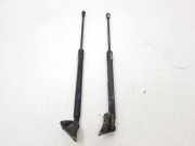 Heckklappe Gasdruckfeder links TOYOTA YARIS (_P9_) 1.4 D-4D (NLP90_) 689600D011
