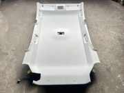 Dachverkleidung TOYOTA VERSO S (_P12_) 1.33 (NSP120_)