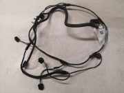 Kabelbaum Jaguar S-Type (X200) 4R8T14369CC