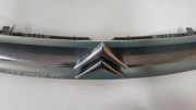 Gitter Grill vorne links CITROËN XSARA PICASSO (N68) 2.0 HDi 9632099177