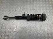 Stoßdämpfer vorne links