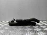 Schlauch Kühlung NISSAN PATHFINDER III (R51) 2.5 dCi 4WD